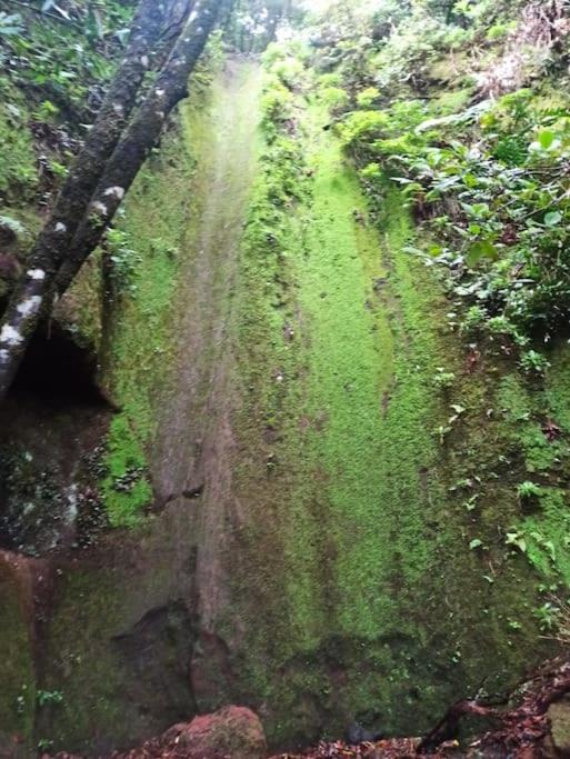 Monte Verde Chinamada 外观 照片