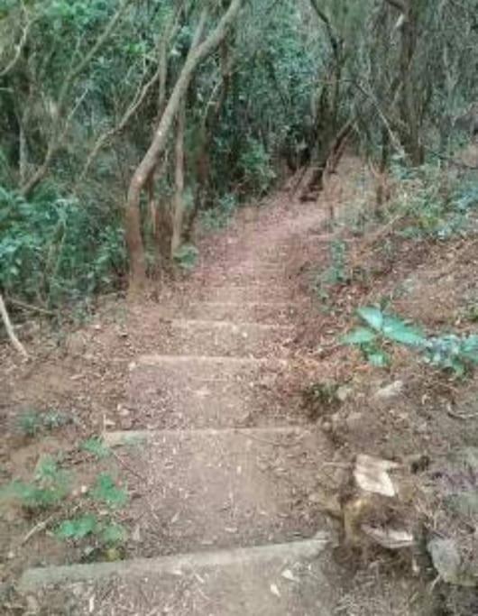 Monte Verde Chinamada 外观 照片
